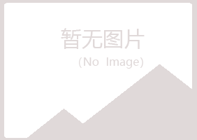 金川区夏岚音乐有限公司